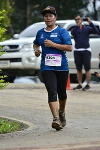 BIB: 8308
                            <button type="button" onclick="openModal(13383292)" class="btn btn-primary btn-sm float-right btn-popup" data-toggle="modal" data-target=".modal-high-quality">
                        <i class="fas fa-shopping-cart"></i> Add to Cart
                    </button>
                                            <button type="button" onclick="isThisMe(13383292, true)" class="btn btn-success btn-sm float-right btn-popup btn-isme hidden" data-toggle="tooltip" data-placement="bottom" title="นี่คือรูปของคุณใช่ไหม คลิกที่นี่เพื่อเอาเข้าอัลบั้ม">
                        <i class="fas fa-plus"></i> Add to album
                    </button>
                    <button type="button" onclick="isThisMe(13383292, false)" class="btn btn-warning btn-sm float-right btn-popup btn-isnotme hidden">
                        <i class="fas fa-ban"></i> Remove from album
                    </button>